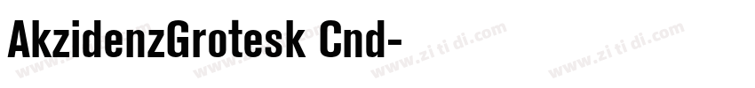 AkzidenzGrotesk Cnd字体转换